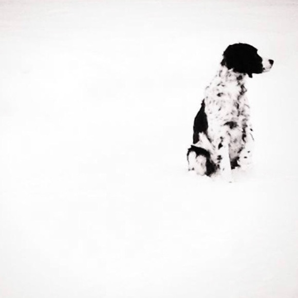 Meet your Posher, Twyla - Picture 1 of 1